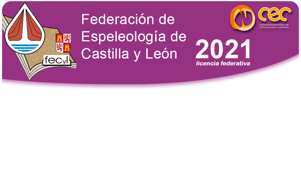 ¡Licencias 2021 ya DISPONIBLES!